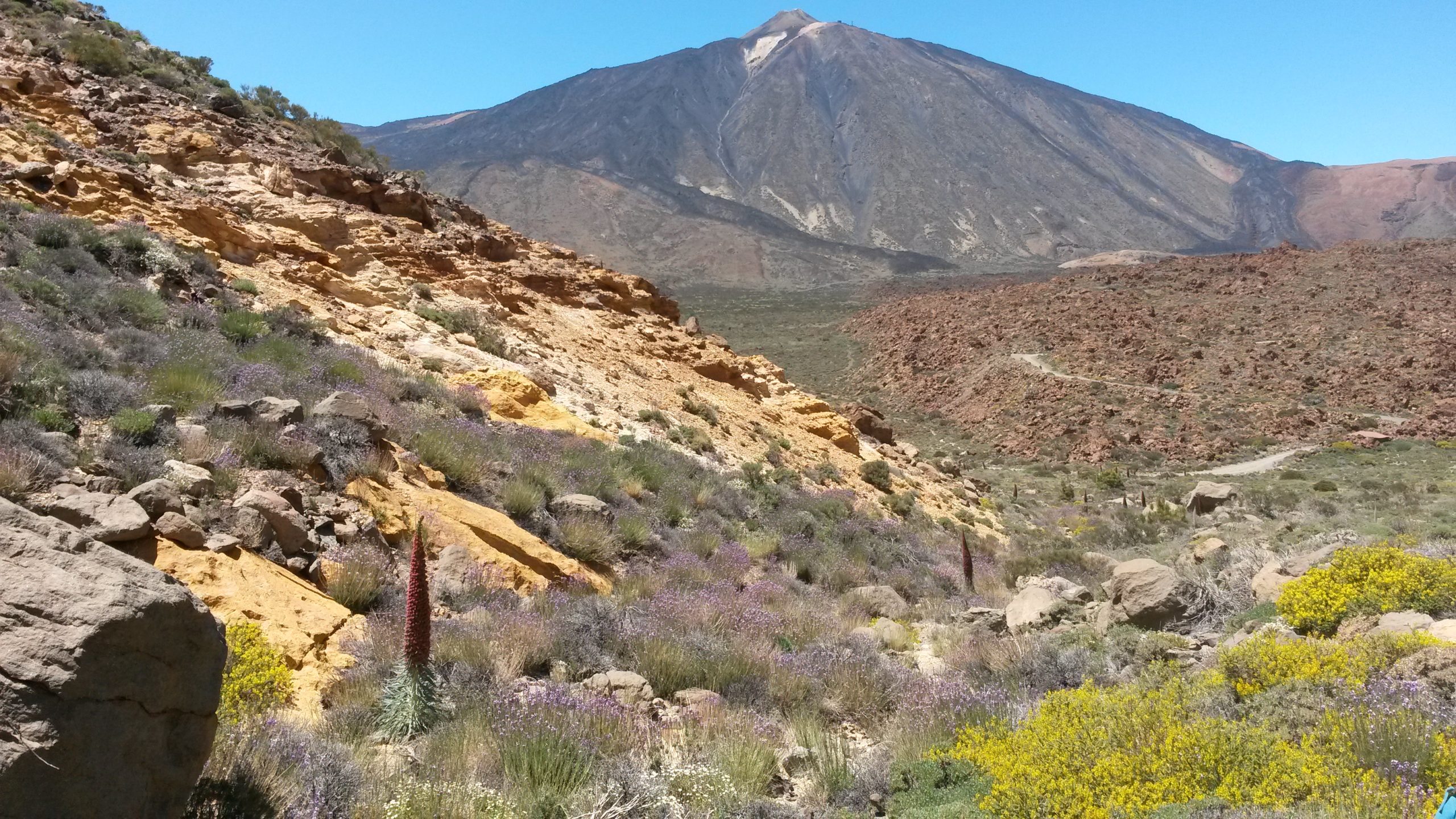 Volcan Teide Trek Tenerife les Canaries