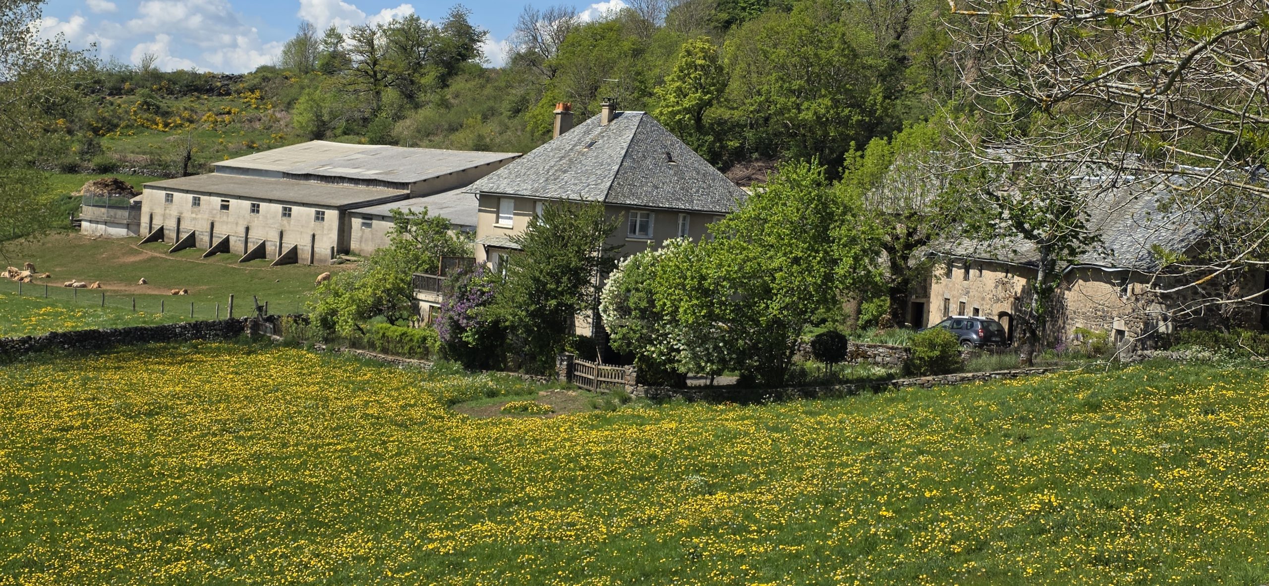 Ferme d'Aubrac Trek Évasion