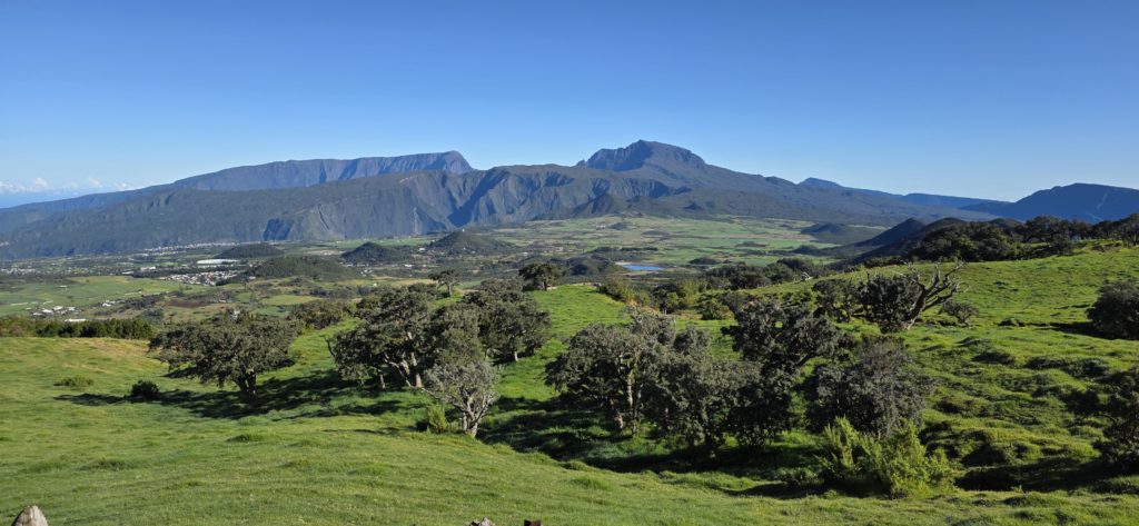 LA RÉUNION – De la vanille sur le volcan