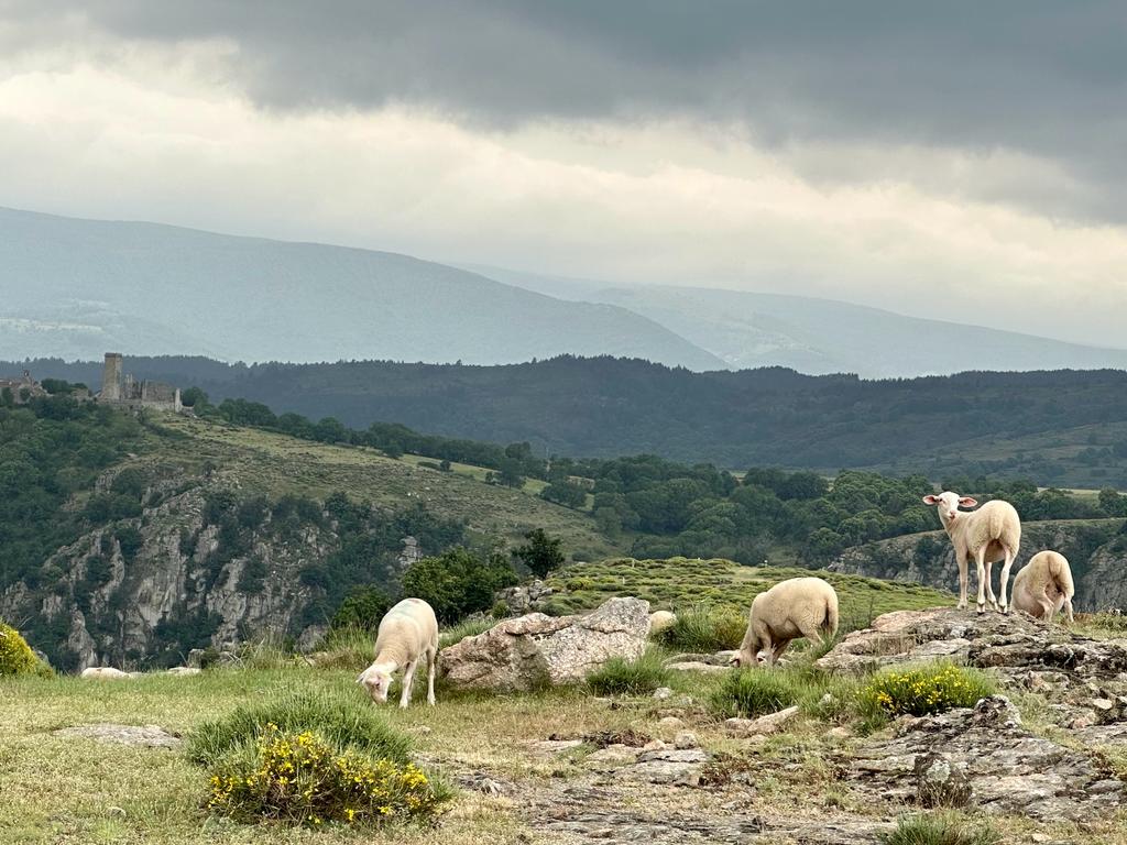 LA REGORDANE – Du Puy-en-Velay à Saint-Gilles