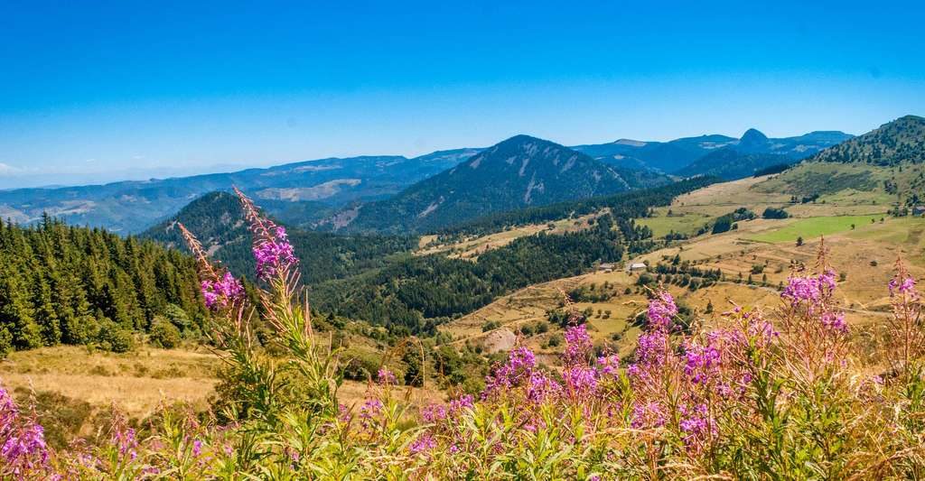 Trek Évasion, Le spécialiste de vos activités en plein air